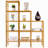 Cania Step Bookcase