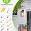 Applique murale Baskett