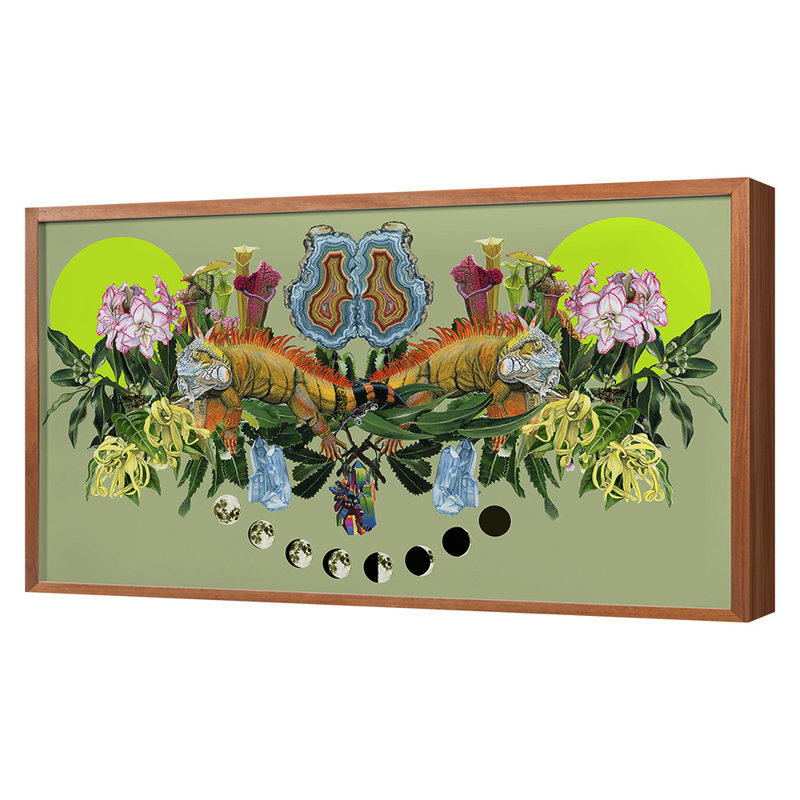 Iguanas Print by Thicket Design, 26" H x 45" W x 1.75" D, Walnut Framed