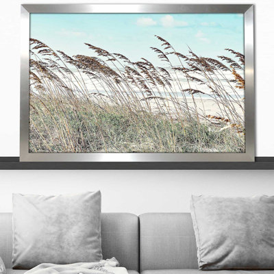 " Eastern Beach Grass II " Color Photography Print