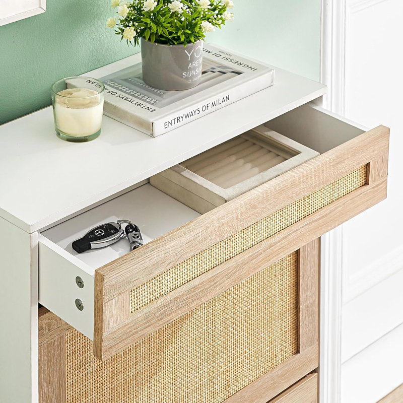 Alysun 32 Pair Shoe Storage Cabinet