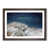 Walnut Framed selected