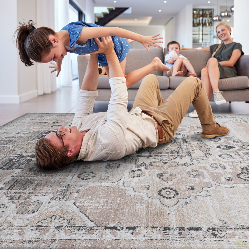 Collection 6X9 /Medallion Non-Shedding Living Room Bedroom Dining Home Office Stylish And Stain Resistant Area Rug