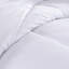 All Season Polyester Down Alternative Comforter-22496982