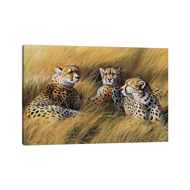 Africa Grass Cheetahs by Grant Hacking - Gallery-Wrapped Canvas Giclée on Canvas, Wrapped Canvas, 20.32 cm H x 30.48 cm W