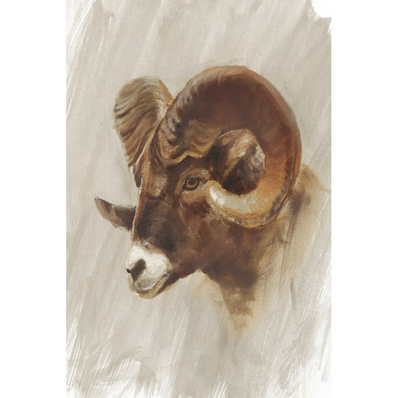 Western American Animal Study I by Ethan Harper - Wrapped Canvas Painting, 46cm H x 30cm W