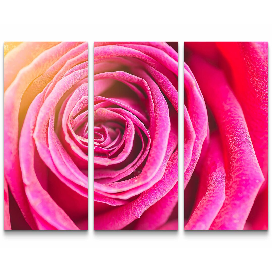 3-tlg. Leinwandbilder-Set Rose