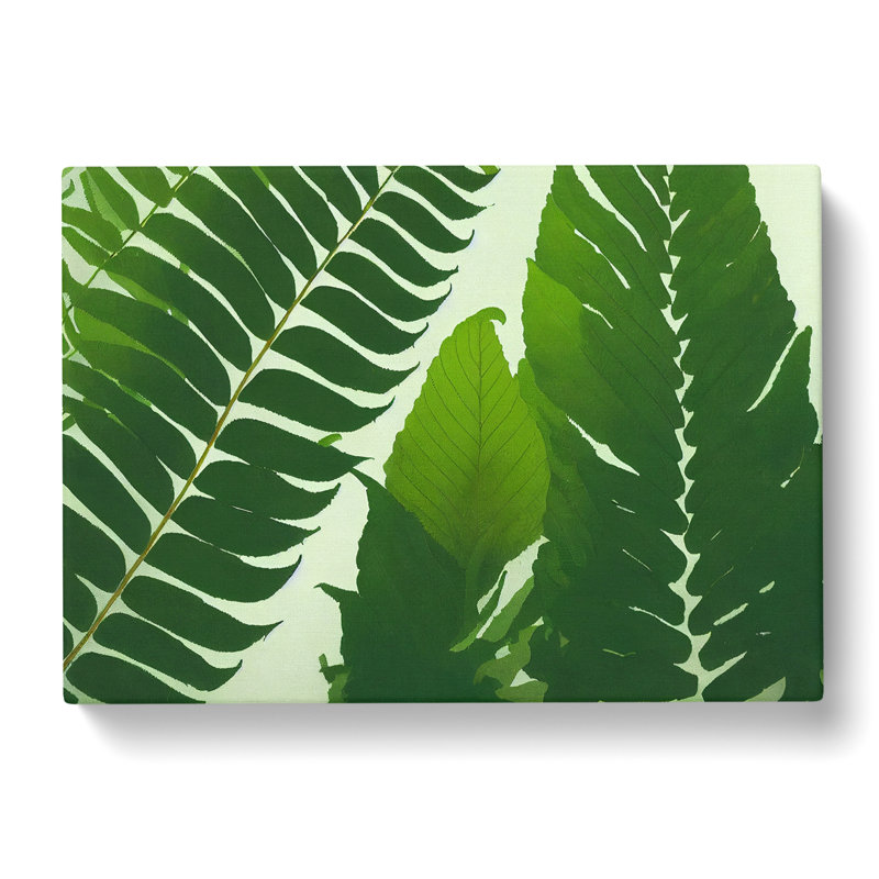 Contoured Fern Leaf - Wrapped Canvas, 35cm H x 50cm W x 3cm D