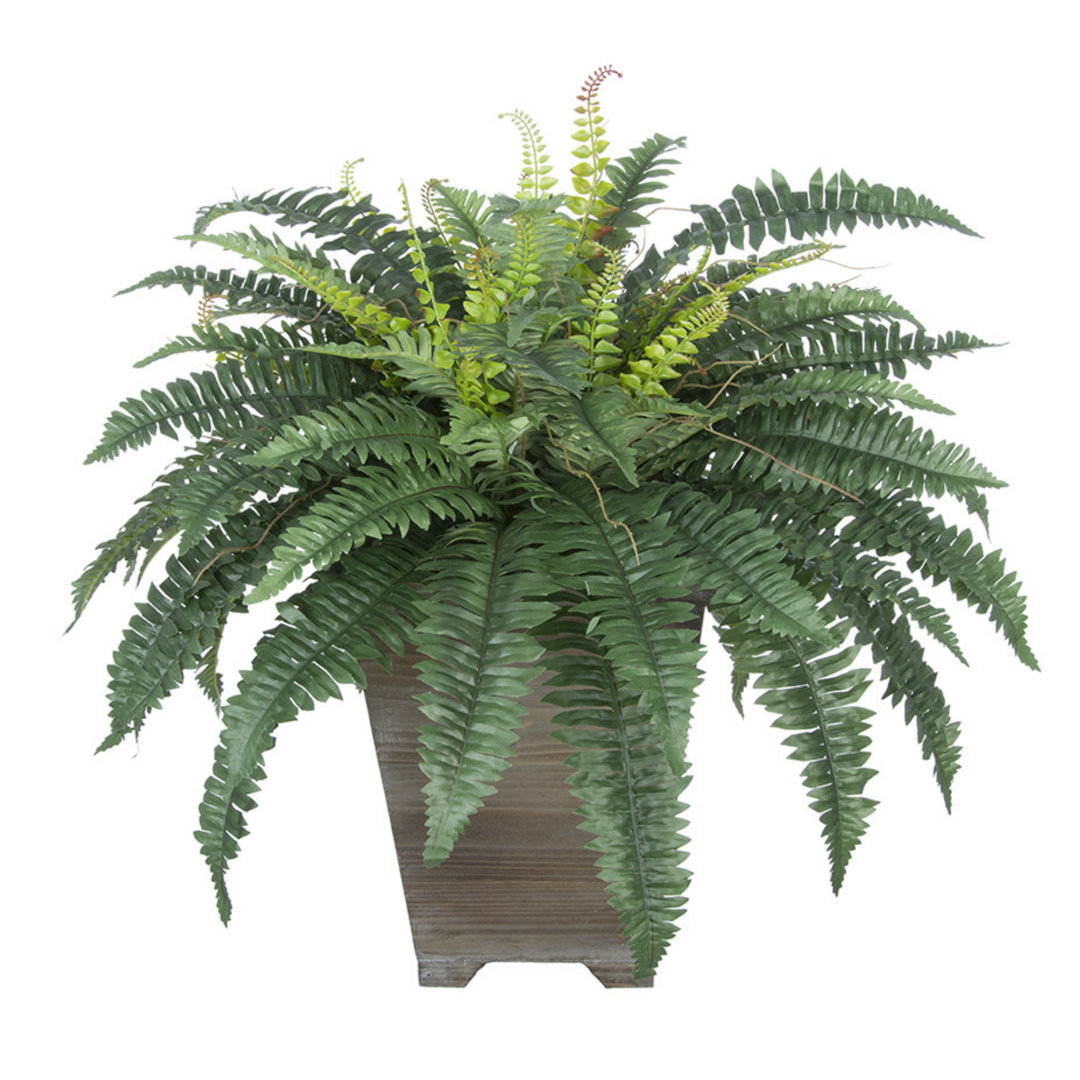 12" Artificial Fern Plant in Planter Latitude Run® Base 