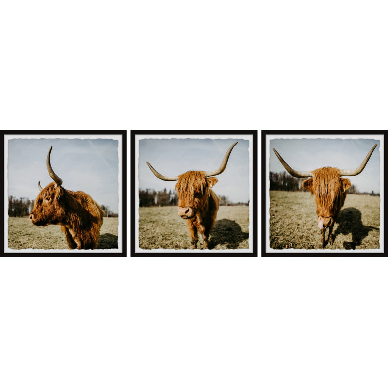 Yasmin Cow Pose by Marmont Hill - 3 Piece Single Picture Frame Print, 61cm H x 61cm W x 3.81cm D