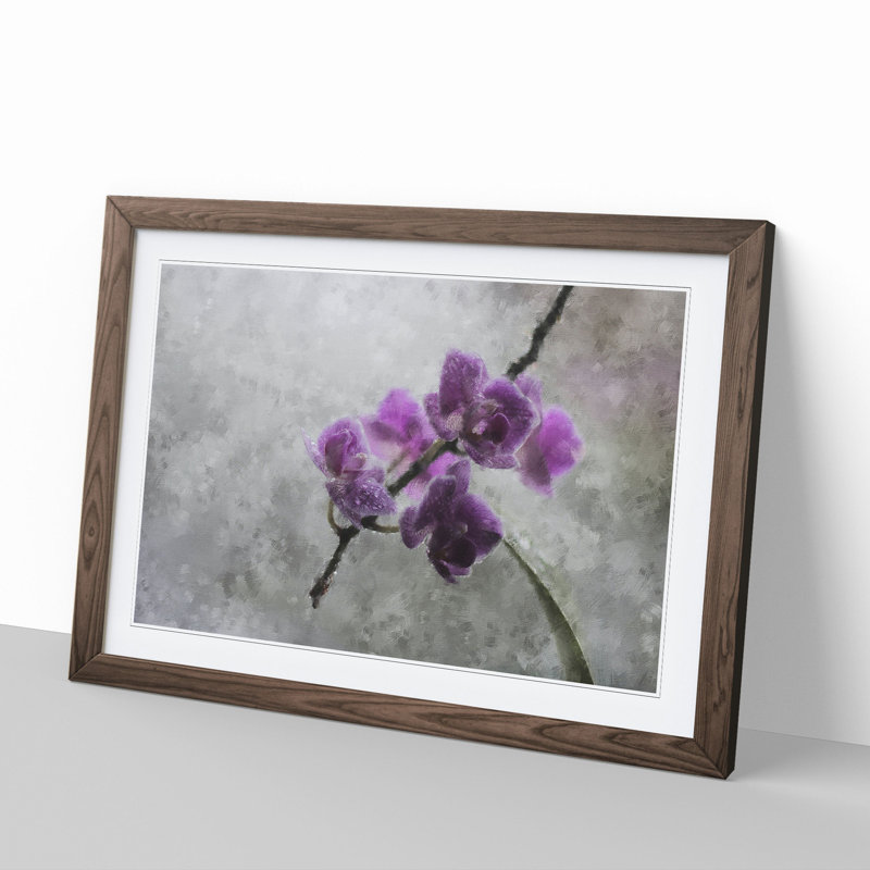 Orchid Flowers Vol.3 - Framed Print, 27cm H x 36cm W x 2cm D, Walnut Framed