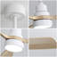 Ventilateur de plafond moderne 48 pouces avec 3 lumières