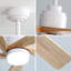 52 Inch Ceiling Fan With Dimmable LED Light 5 Solid Wood Blades Remote Control Reversible DC Motor With Smart Remote Control-1924363085