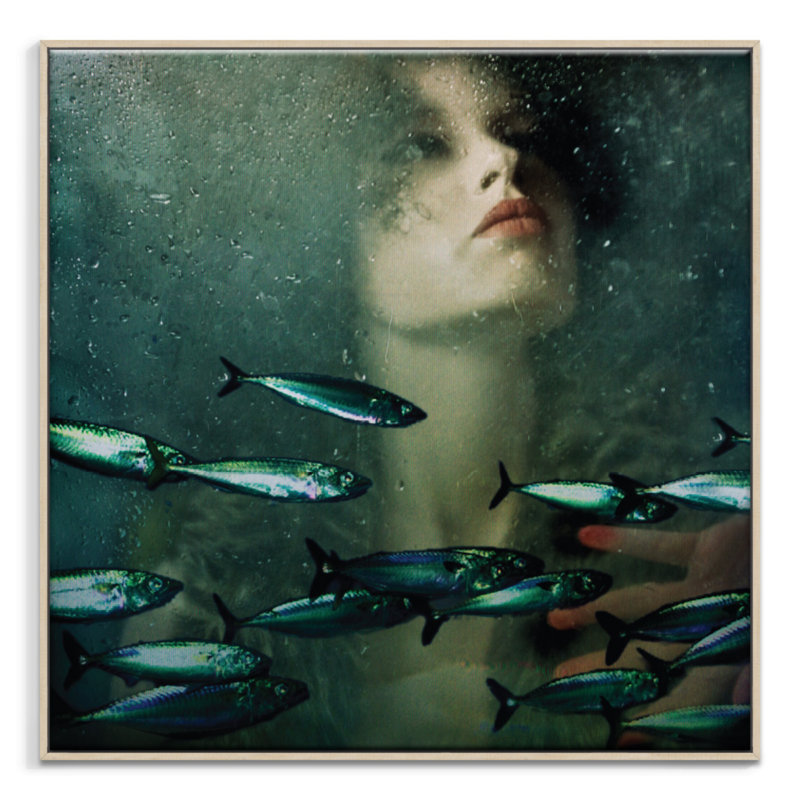 Print on Canvas, Timber, 102cm H x 102cm W