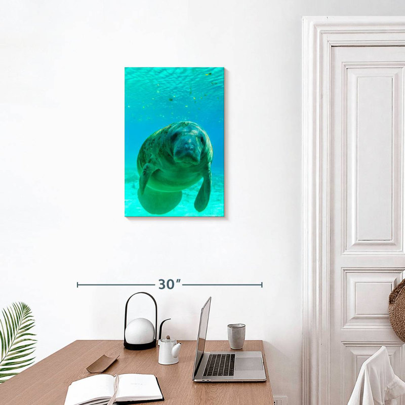 Brampt Swimming Manatee, 24" H x 16" W