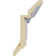 Shell Crown Moulding