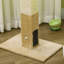 Scratching Post
