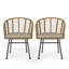 Ensemble de 2 chaises d'extérieur modernes en rotin avec pieds inclinés et coussins résistants à l'eau, brun et beige Modern
