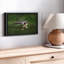 «Bald Eagle Reflection Wall Art»-2005910857