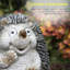 Statue solaire hedgehog Maryanne