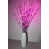Rose sélectionné