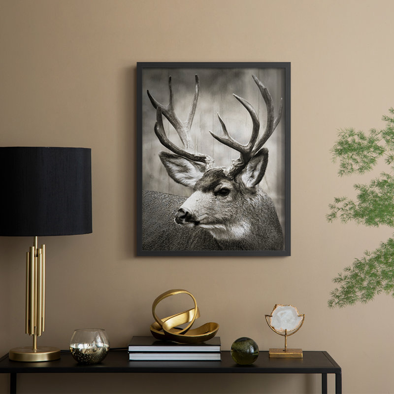 Focused Buck Framed Print - Solid Wood, Black, 30" H x 24" W