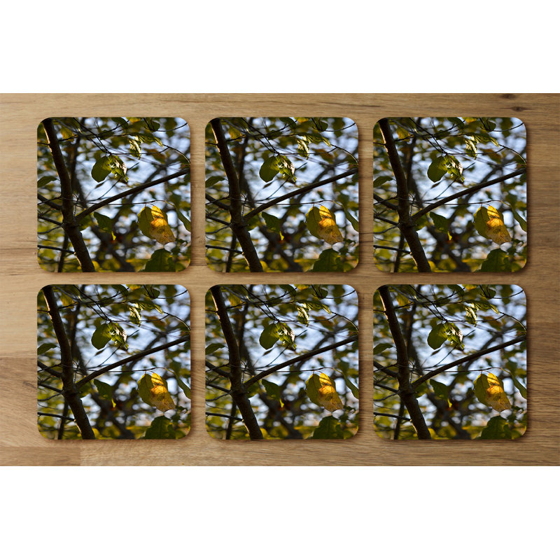 Dowski Square 6 Piece Coaster Set
