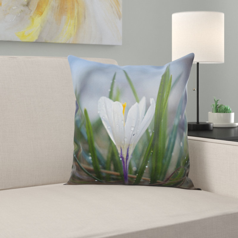 Coussin décoratif nature