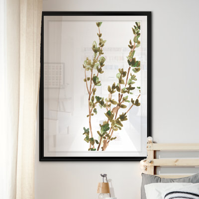 " Earthtone Herbs II " Painting Print
