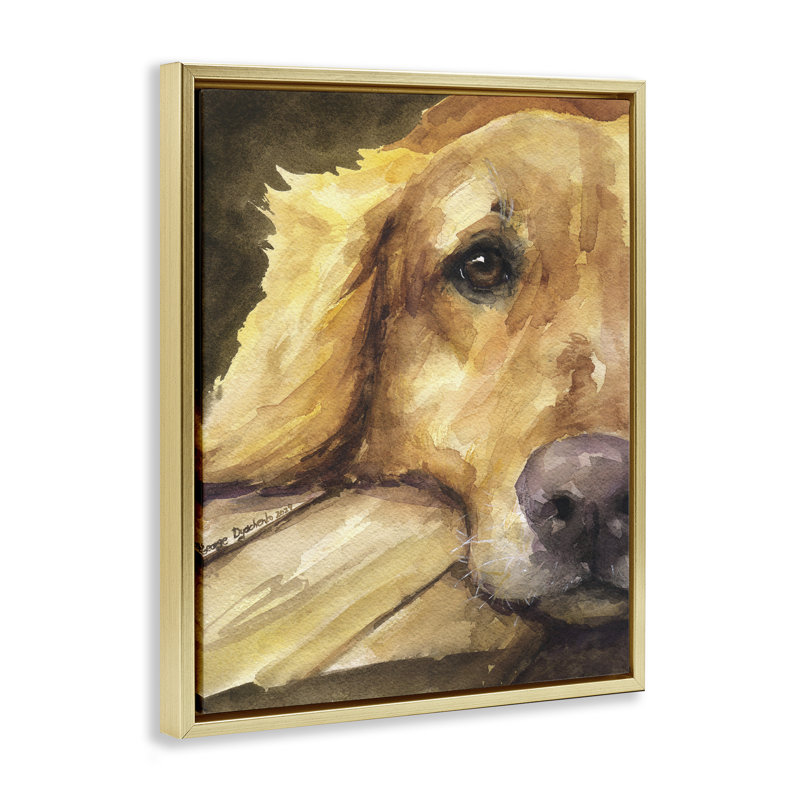 Cadre flottant Sight of Golden Retriever, design par George Dyachenko, H 31 po x l 25 po, Cadre flottant métallique doré