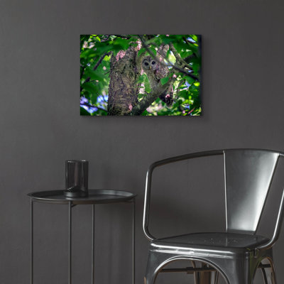 «Barred Owl In A Tree» par Rick Berk, art mural en verre acrylique