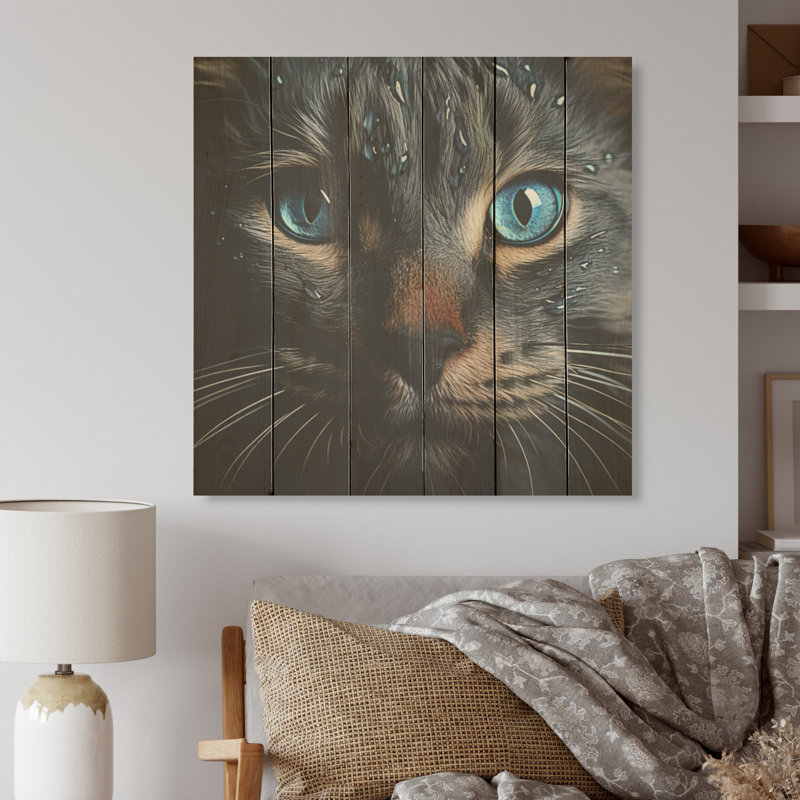Chat, yeux bleus, chat, art mural sur bois de pin naturel, H 36 po x l 36 po