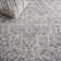 Oriental Light Gray/Ivory Area Rug
