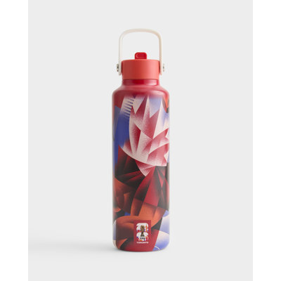 Drib 24oz Performance Insulated Stainless Steel Water Bottle with Leak-Proof Quiet Straw Lid – FIFA World Cup 2026 Edition