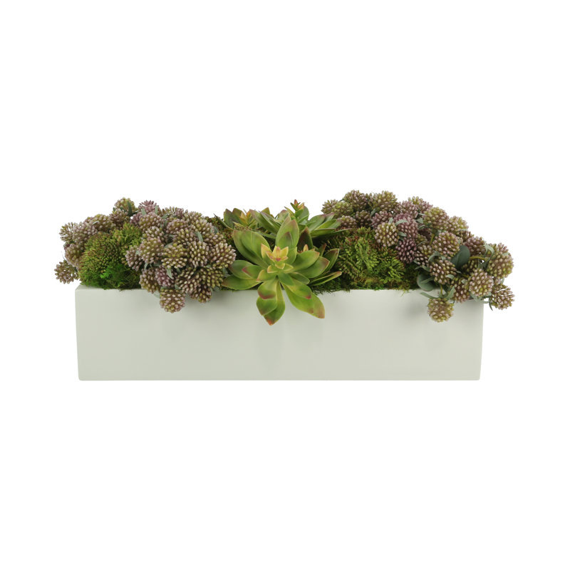 Succulents and Sedum Arranged in Fiberstone Planter