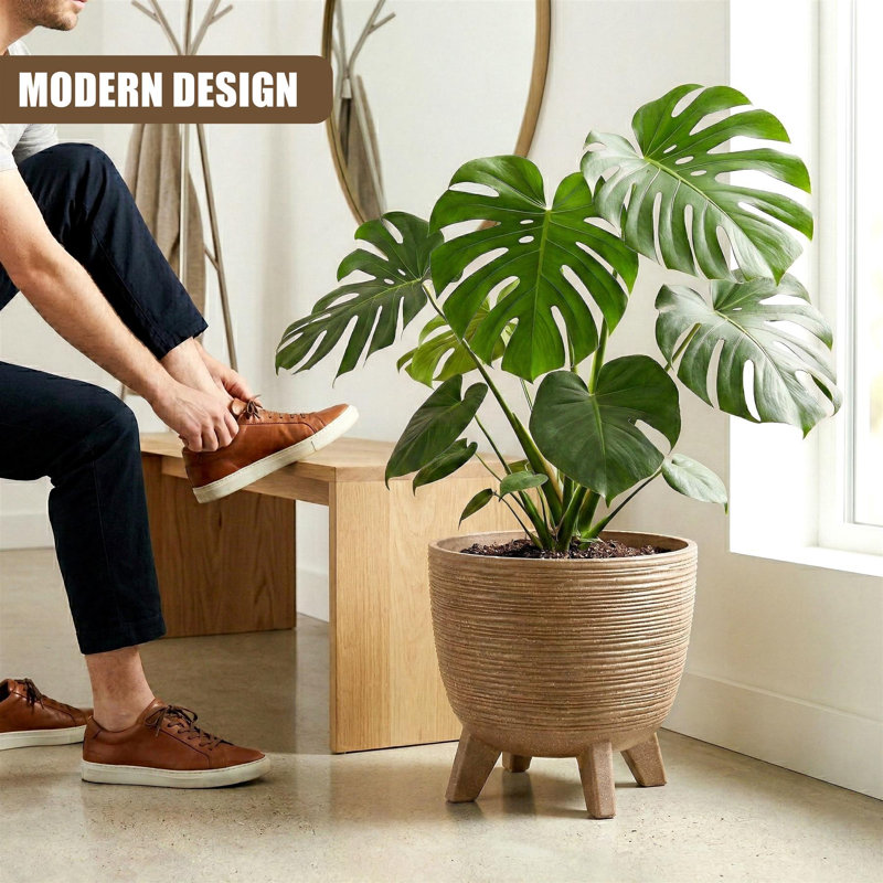Pot Planter, Brown, 32cm H x 39.5cm W x 39.5cm D