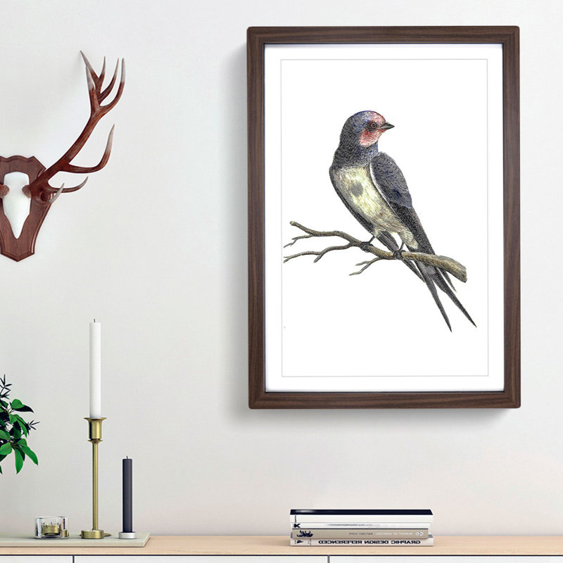 Swallow by Johan Teyler - Picture Frame Art Prints, Walnut Framed, 48cm H x 36cm W x 2cm D