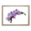 Orchids in Bloom - Picture Frame Painting Print-55602028-55602022