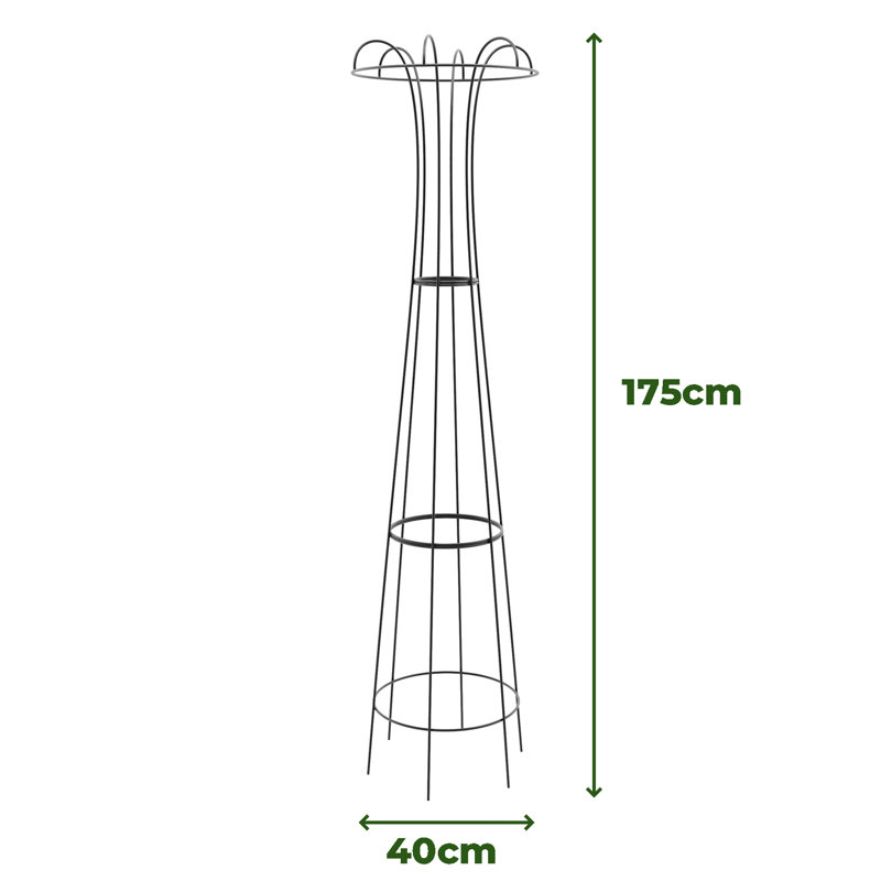 Wilmore Metal Obelisk Plant Support, 175cm H x 40cm W x 40cm D, Black