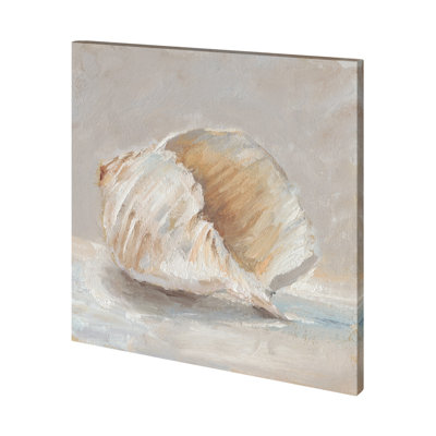 Impressionist Shell Study IV a Hand Embelished Textured Canvas