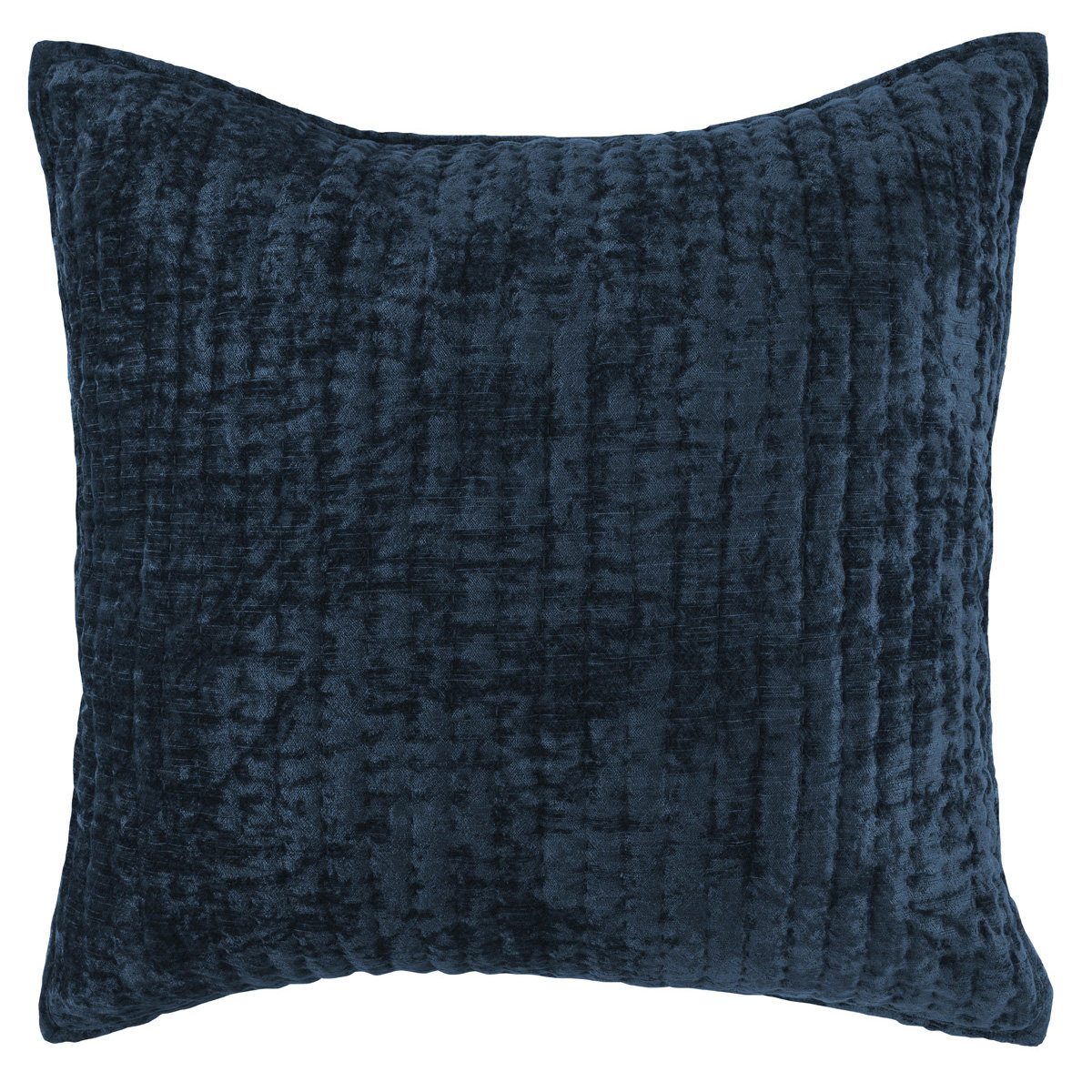 Lucio Shams, Euro, Ocean Blue