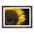 Walnut Framed selected