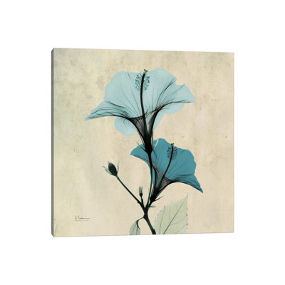 Hibiscus Blue by Albert Koetsier - Wrapped Canvas Gallery-Wrapped Canvas Giclée