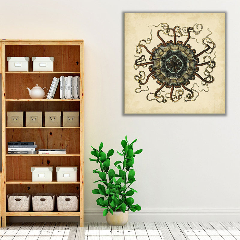 Gems of the Sea I - reproduction d'art sur toile, H 20 po x l 20 po