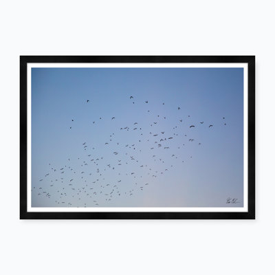 Murmur Iv Print by Tim Klein