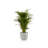 Ecopots Oslo Indoor/Outdoor Modern Recycled Plastic Flower Pot Planter-80209421-80209420