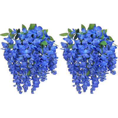 Fleurs et tiges de glycine