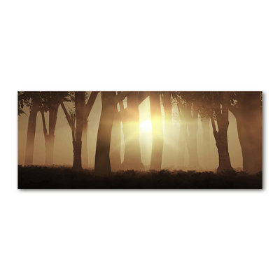 Fog In The Forest - Wrapped Canvas Print