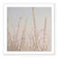 Hoar Frost White Print by Pernille Westh-48618356-48618361