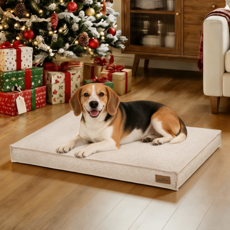 Pet Bed Firm Support Crate Mattress, Beige, Medium (10cm H x 88cm W x 59cm D)